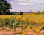 Outskirts of Seville - 华金·索罗利亚·巴斯蒂达